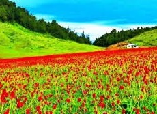 खप्तड राष्ट्रिय निकुञ्जका दृश्यहरु